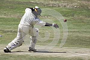 Intense Focus Cricket Bowler Unleashes a Yorker During a Sunny Match photo