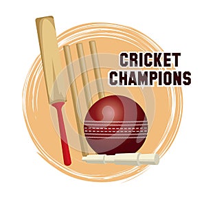 Cricket champions design