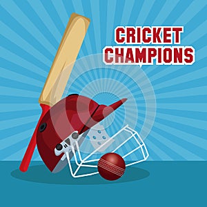Cricket champions design