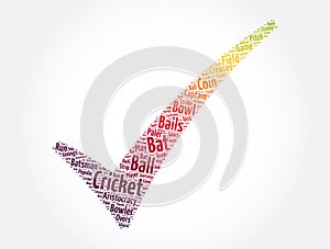 Cricket check mark word cloud collage, sport concept background