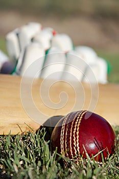 Cricket equipment.