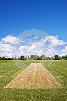 Cricket field background