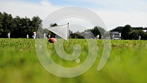 Cricket field boundary flag with ball