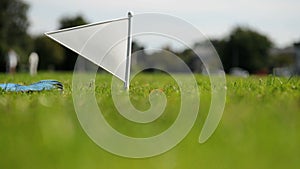 Cricket field boundary flag with gloves