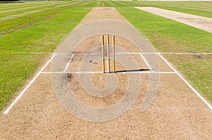 Cricket Field Pitch`s Wickets Grounds