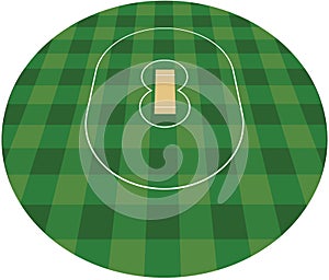 Cricket field. vector illustration