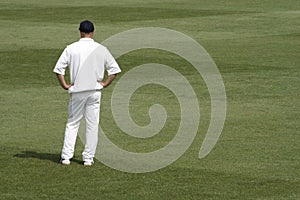 Cricket fielder