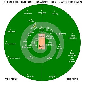 Cricket fielding positions