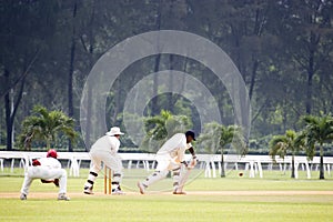 Cricket Game