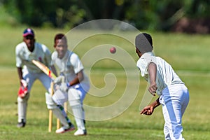 Cricket Action Bowler Ball Batsman