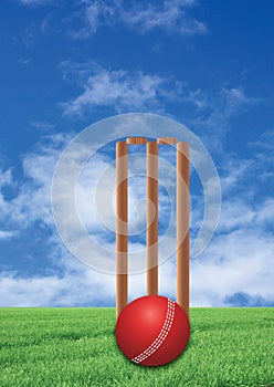 Cricket game wickets and red ball