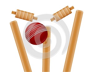 Cricket gate and ball for a sports game stock vector illustration