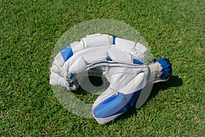 cricket gloves of cricket game. Gloves isolated. cricket gloves for hands.