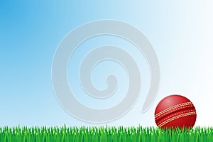 Cricket grass field vector illustration