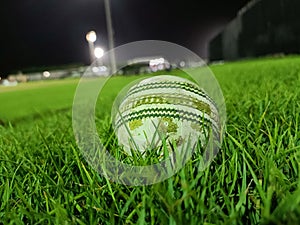 Cricket Ground at Ajman cricket stadium night view