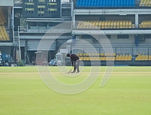 Cricket Groundsman Cleaning Pitch.