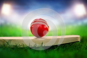 cricket leather ball resting on bat on the stadium pitch bright stadium lights projecting on red leather ball photo