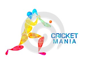 Cricket Mania concept with Batsman.