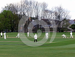 Cricket match