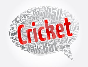 Cricket message bubble word cloud collage, sport concept background