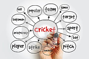 Cricket mind map, sport concept for presentations and reports