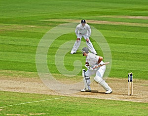 Cricket at The Oval