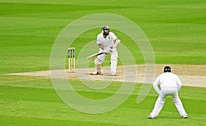 Cricket at The Oval