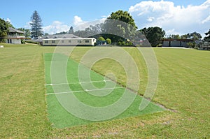 Cricket pitch