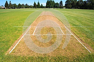 Cricket pitch field
