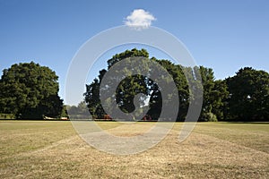 Cricket Pitch in park