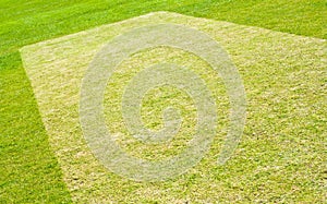 Cricket pitch preparation