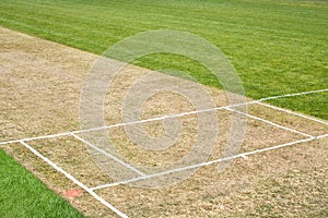 Cricket pitch sport background