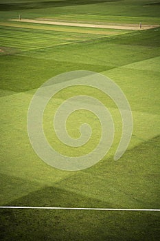 Cricket pitch with stumps and boundary rope