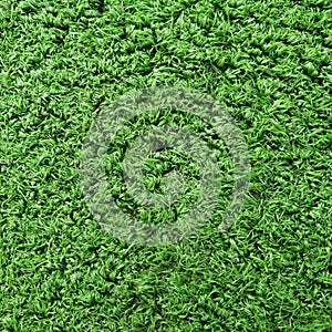 Cricket Pitch Texture Close up. Green Grass. Indoor Cricket Turf texture