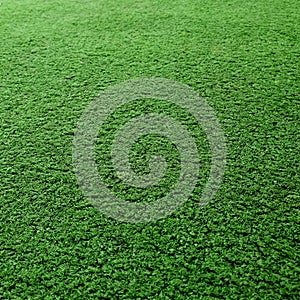 Cricket Pitch Texture Close up. Green Grass. Indoor Cricket Turf texture