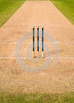 Cricket Pitch Wicket Stumps photo