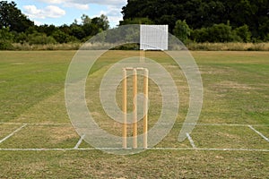 Cricket pitch with wicket and stumps photo