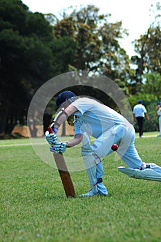 Cricket player