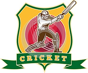 Cricket player batsman batting
