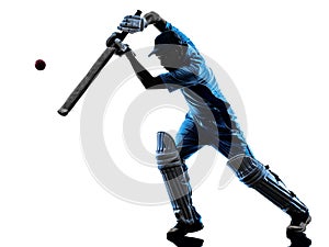 Cricket player batsman silhouette