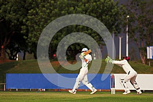 Cricket player hitting ball