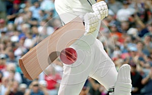 Cricket players batsman hitting ball in a stadium