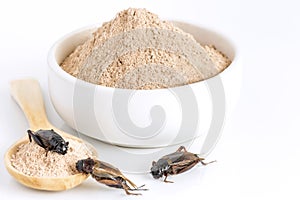 Cricket powder insect for eating as food items made of cooked insect meat in bowl and wood spoon on white background it is good