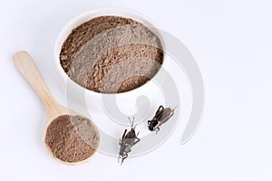 Cricket powder insect for eating as food items made of cooked insect meat in bowl and wood spoon on white background it is good