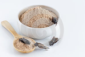 Cricket powder insect and pile Gryllus Bimaculatus for eating as food items made of insect meat in bowl on white background is