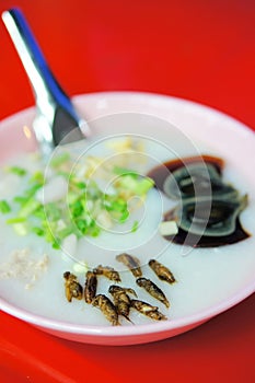 Cricket Rice Congee