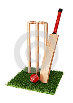 Cricket set on grass isolated on white background