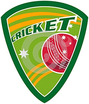 Cricket sport ball shield