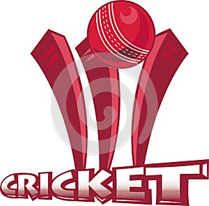 Cricket sports ball wicket photo