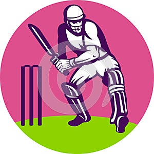 Cricket sports batsman wicket photo